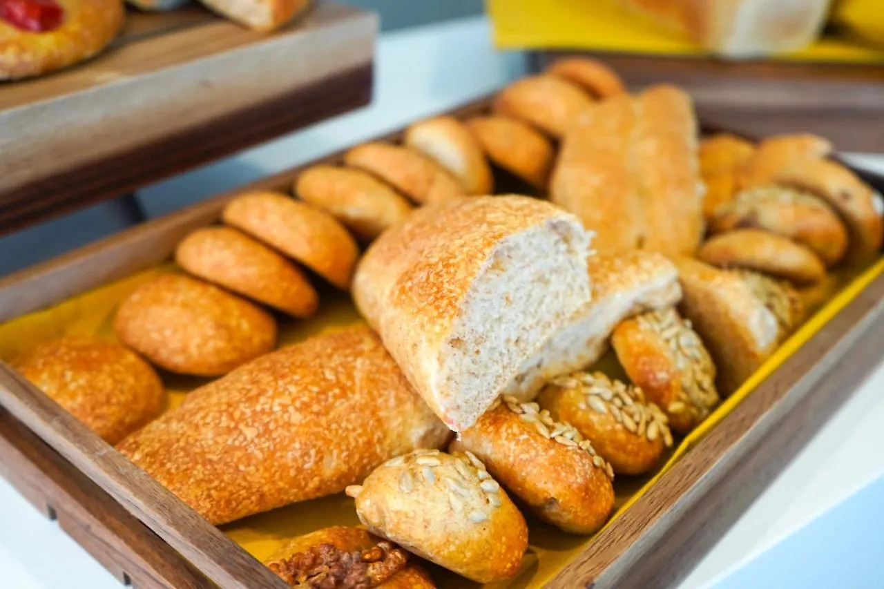 Hotel Alexandra - Beach Front - Healthy Xxl Breakfast & Brunch Until 12 30 - Parking Included Misano Adriatico